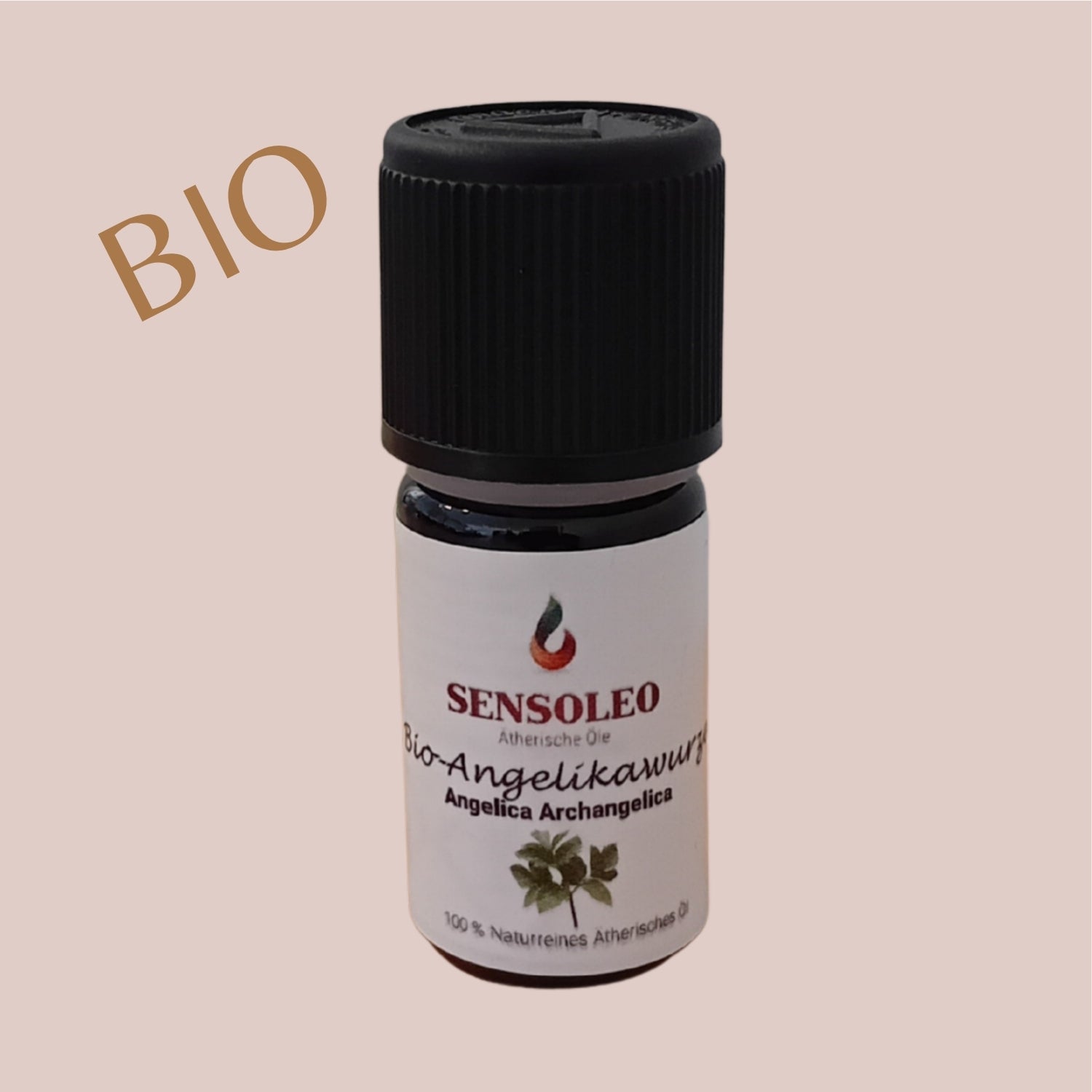 Angelikawurzel Öl Bio 1ml_1