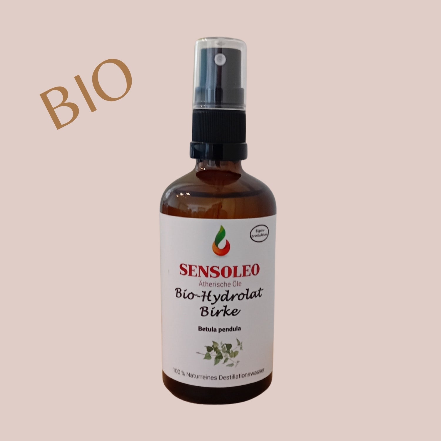 Birke Hydrolat Bio 100ml