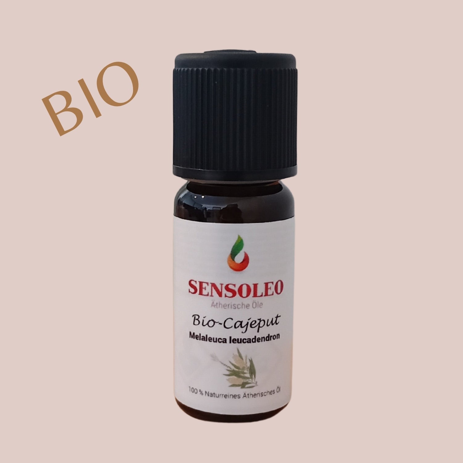 Cajeput Öl Bio 10ml