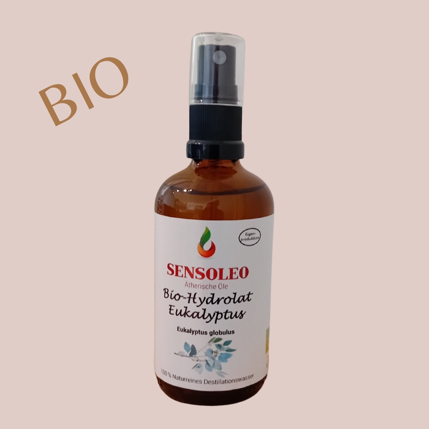 Eukalyptus Hydrolat Bio 100ml