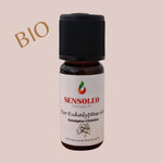 Eukalyptus citriodora Öl Bio 10ml