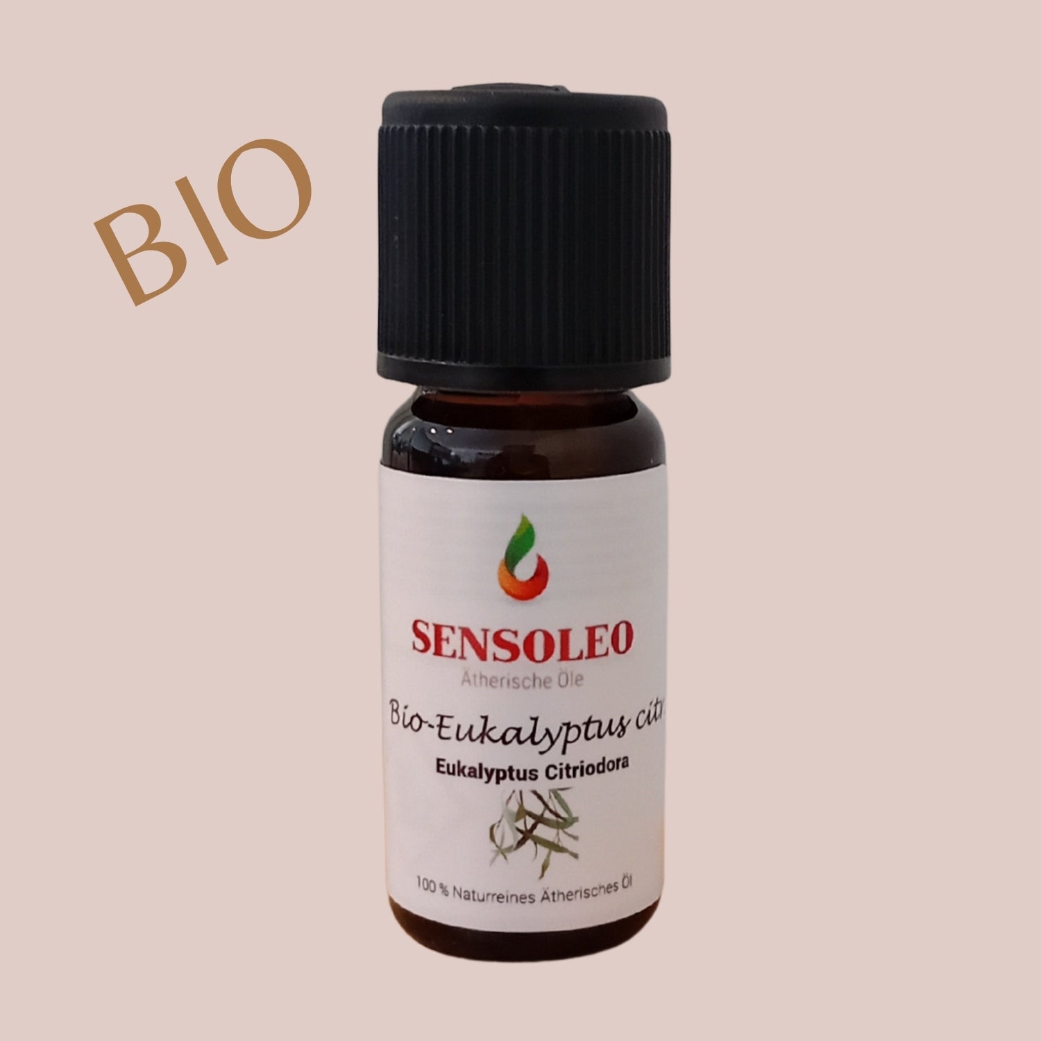 Eukalyptus citriodora Öl Bio 10ml