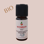 Eukalyptus globulus Öl Bio 10ml