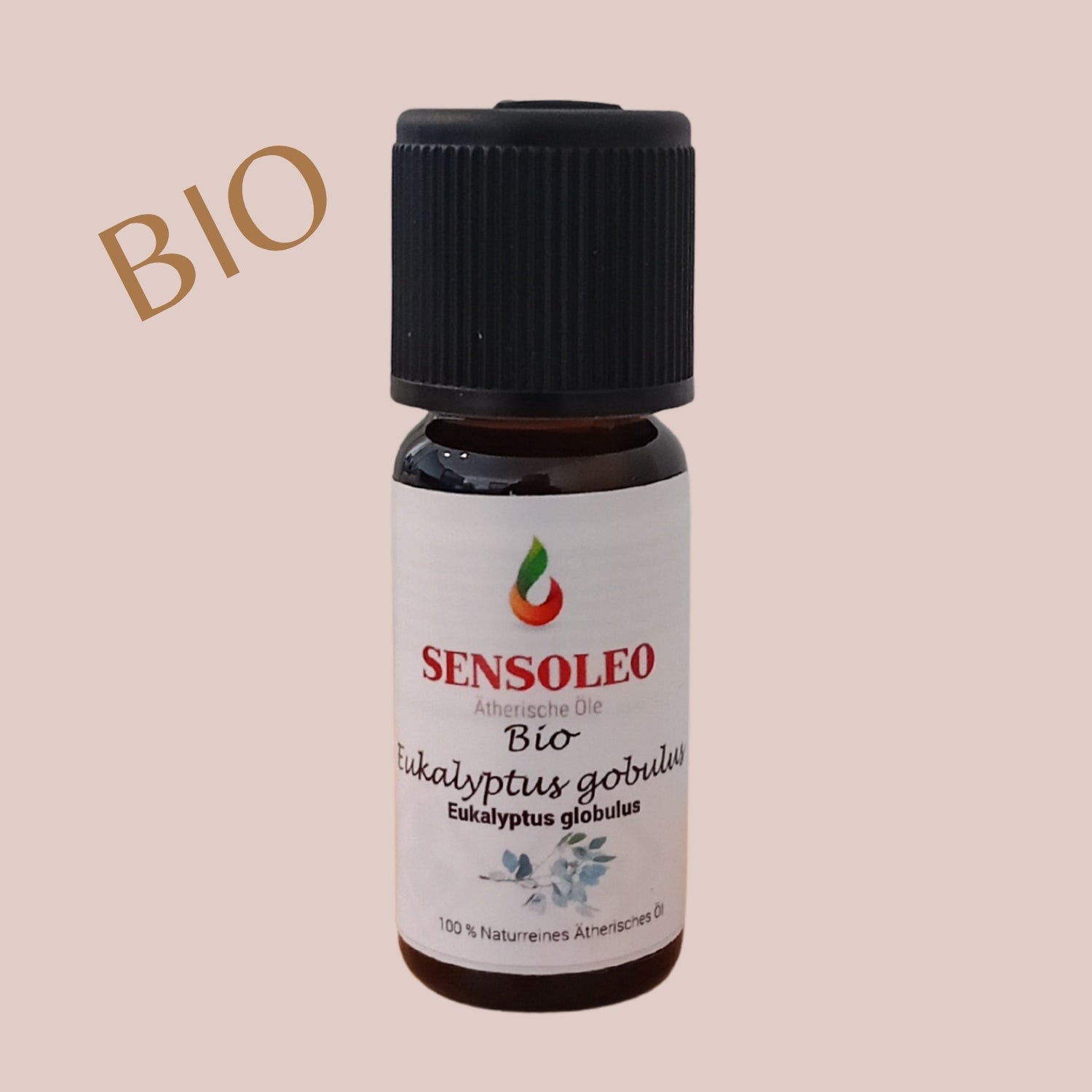 Eukalyptus globulus Öl Bio 10ml