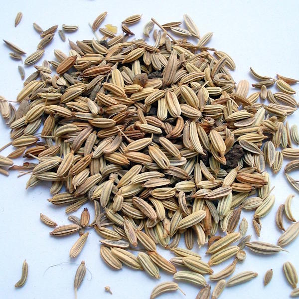 Fenchel süss Öl Bio 5ml_2