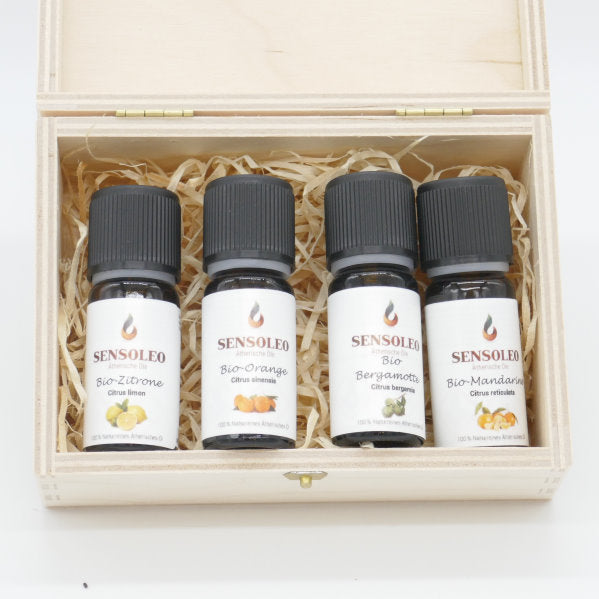 Geschenkset Zitrusmix