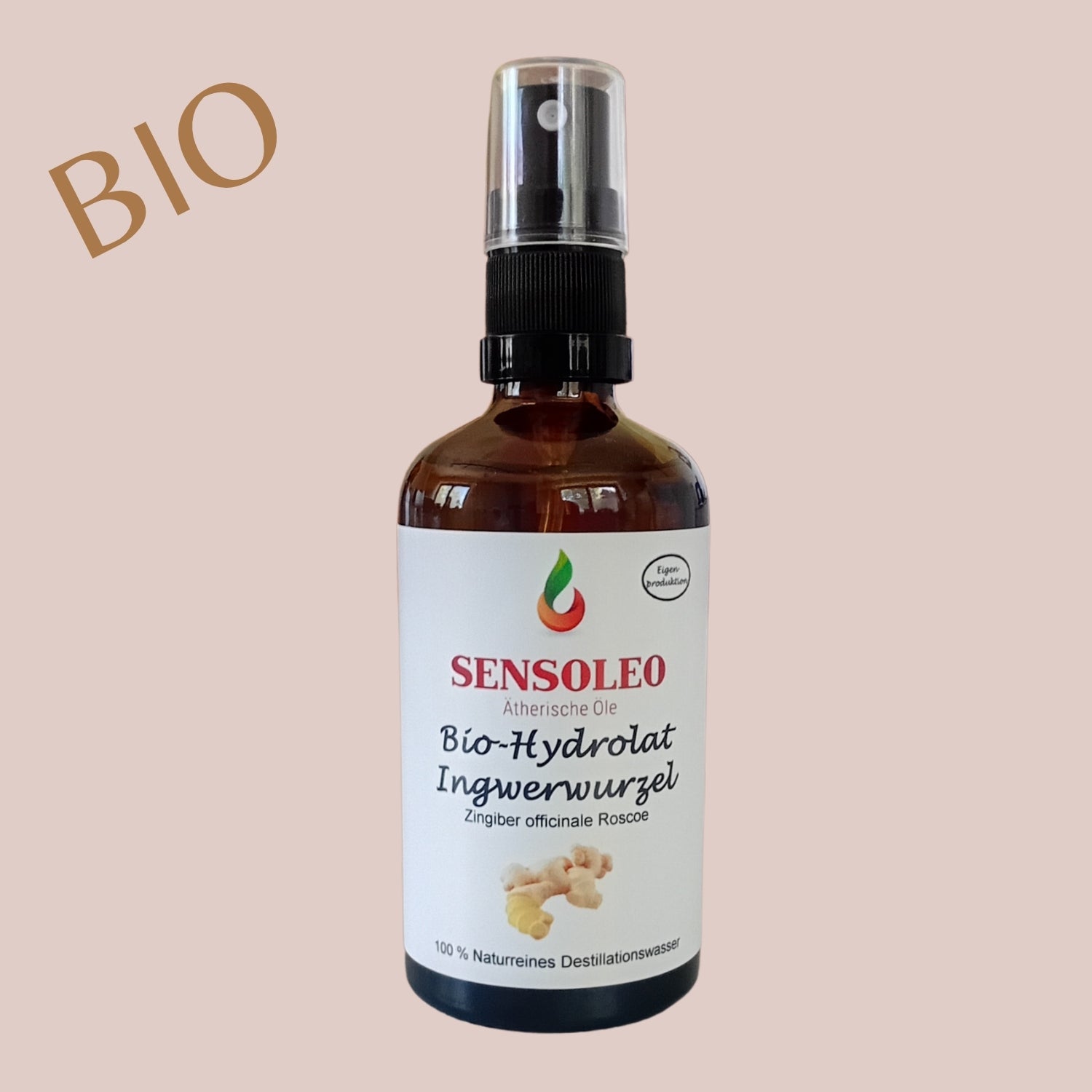 Ingwer Hydrolat Bio 100ml