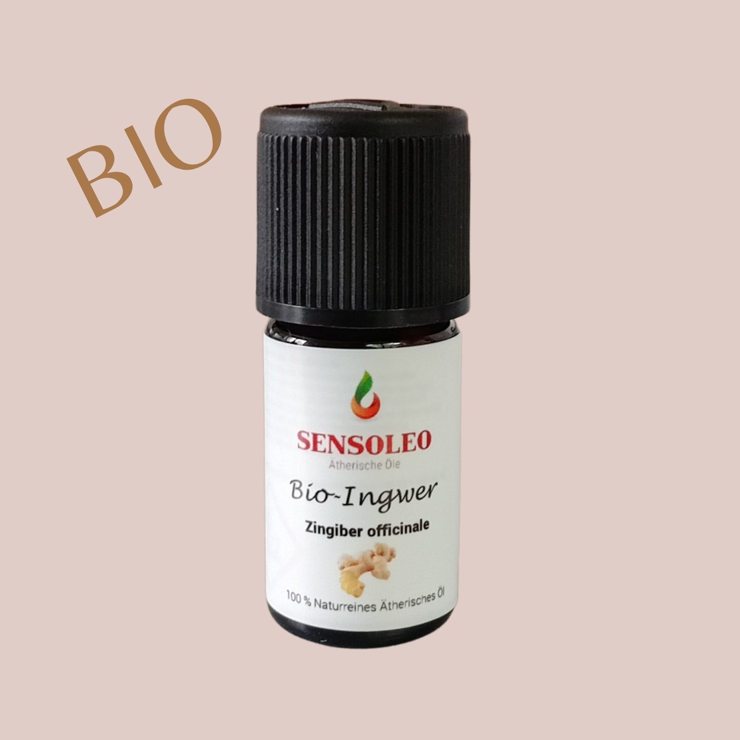 Ingwer Öl Bio 5ml