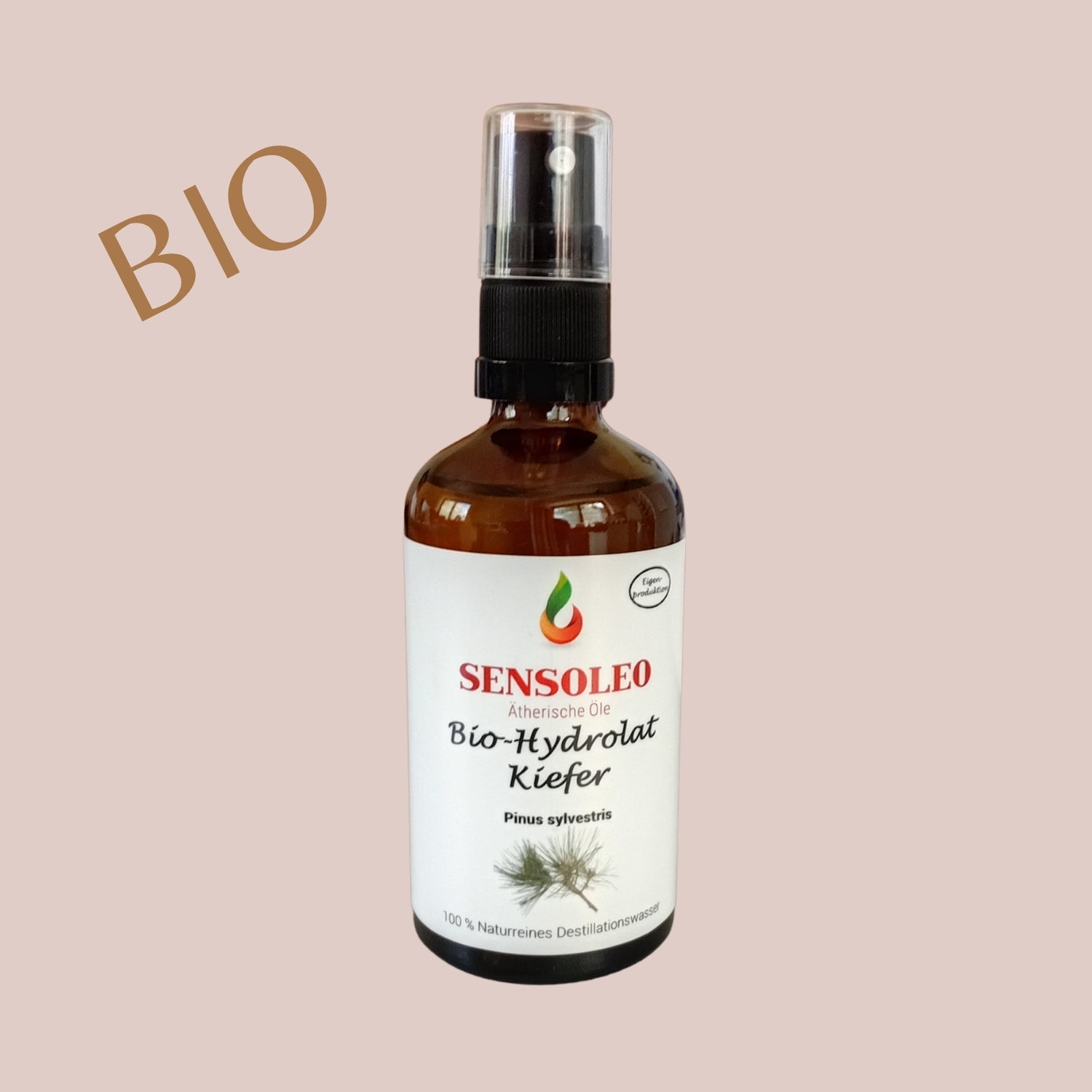 Kiefern Hydrolat Bio 100ml