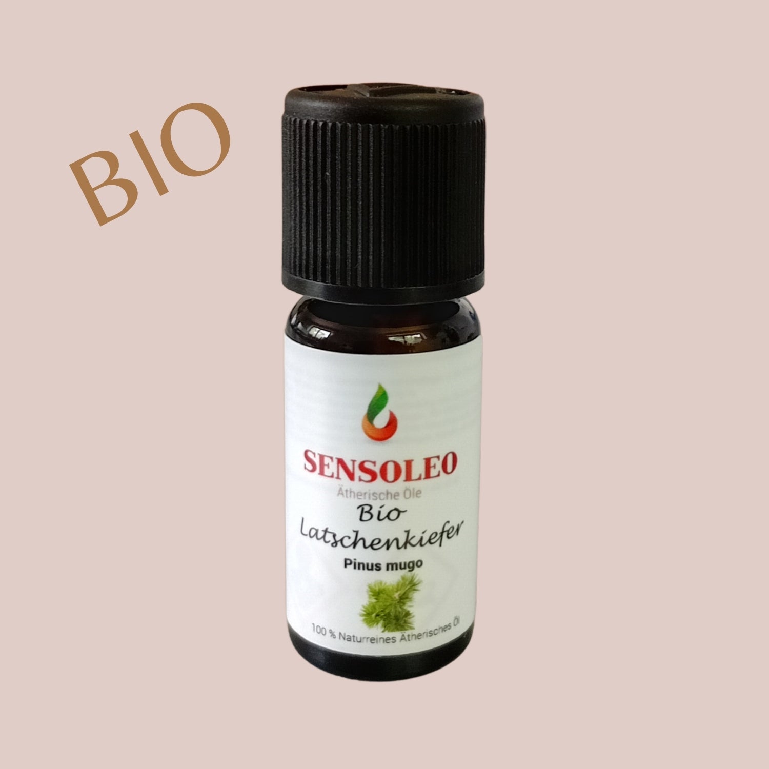 Latschenkiefer Öl Bio 10ml