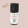 Salbei Öl Bio 5ml