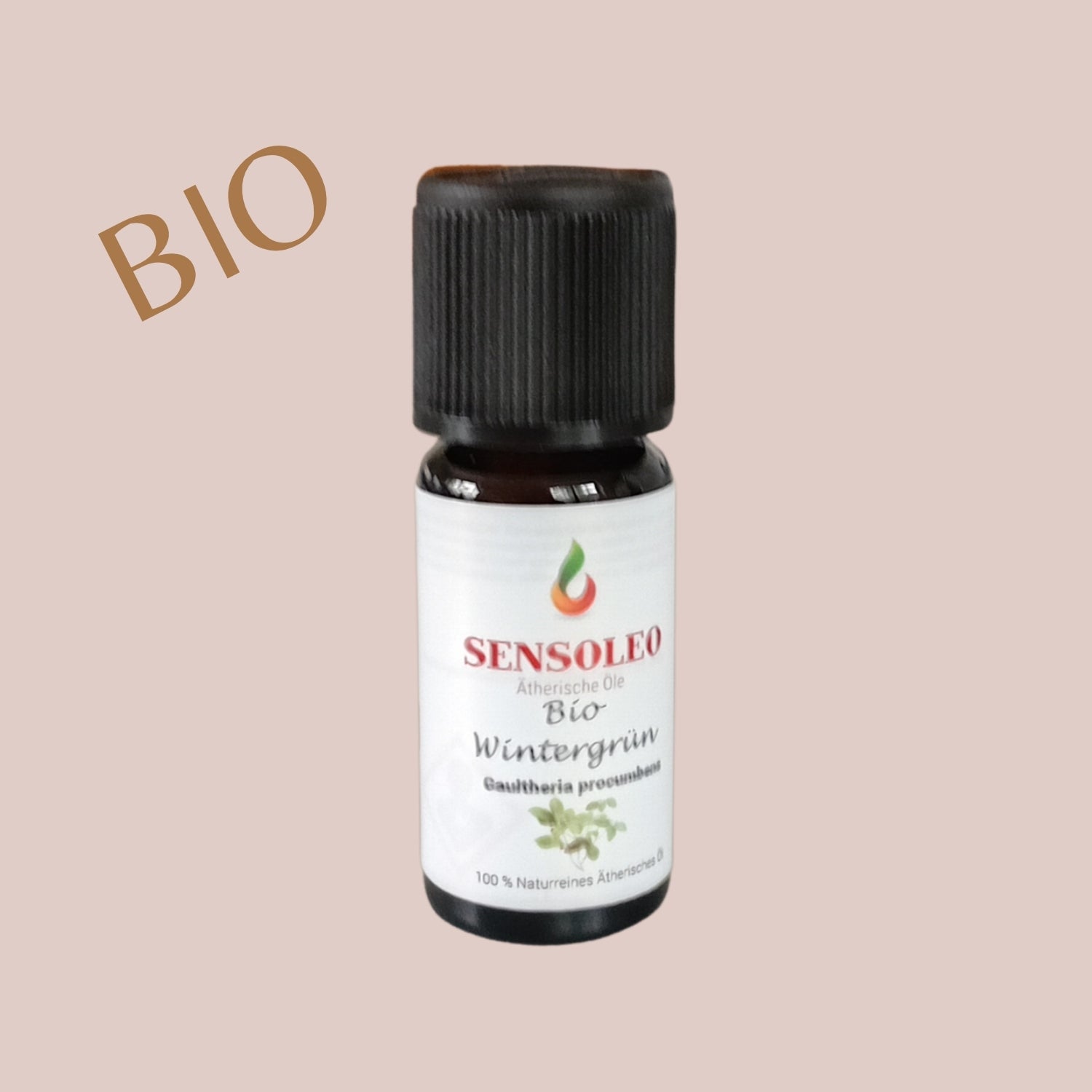 Wintergrün Öl Bio 10ml