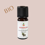 Zirbelkiefer Öl Bio 10ml