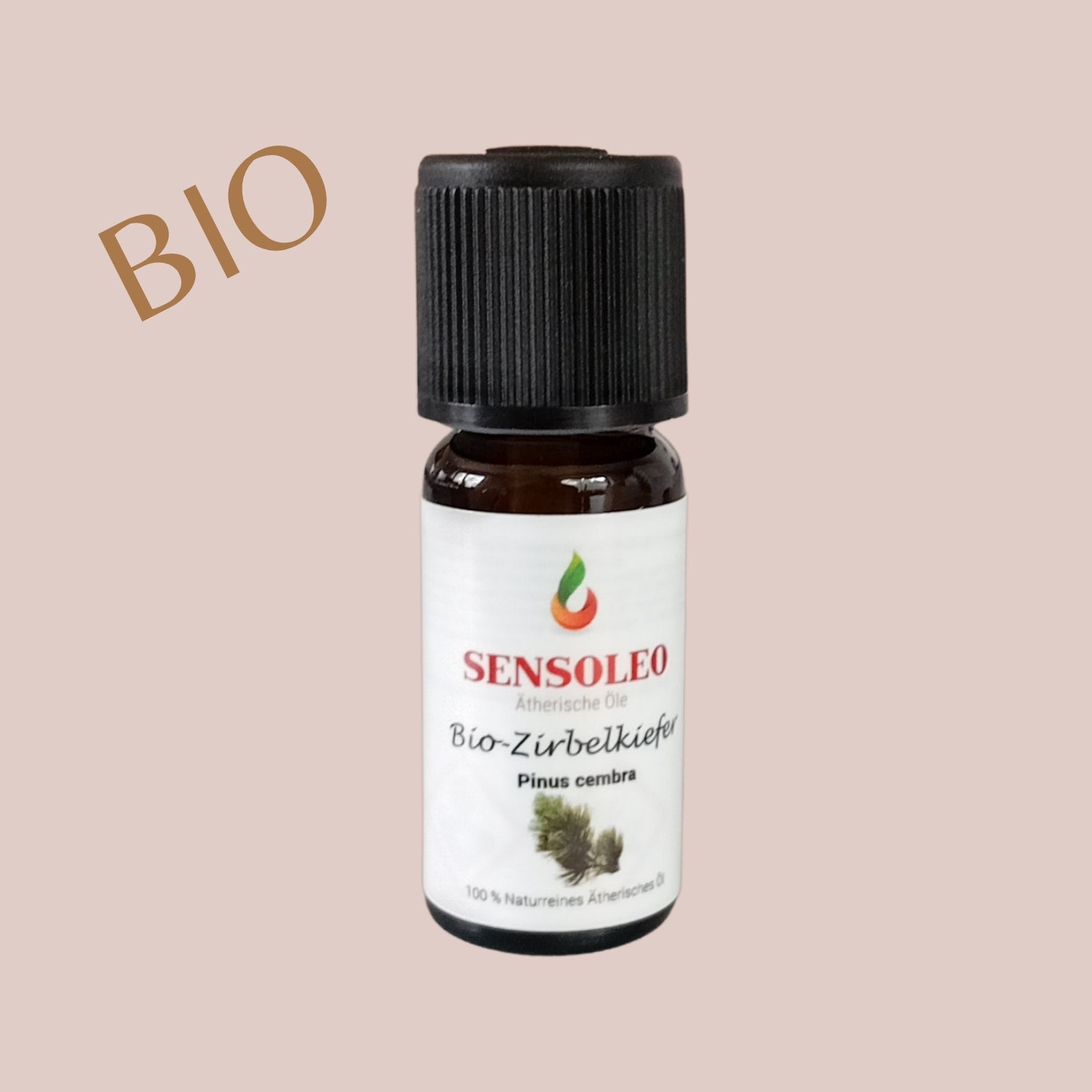 Zirbelkiefer Öl Bio 10ml