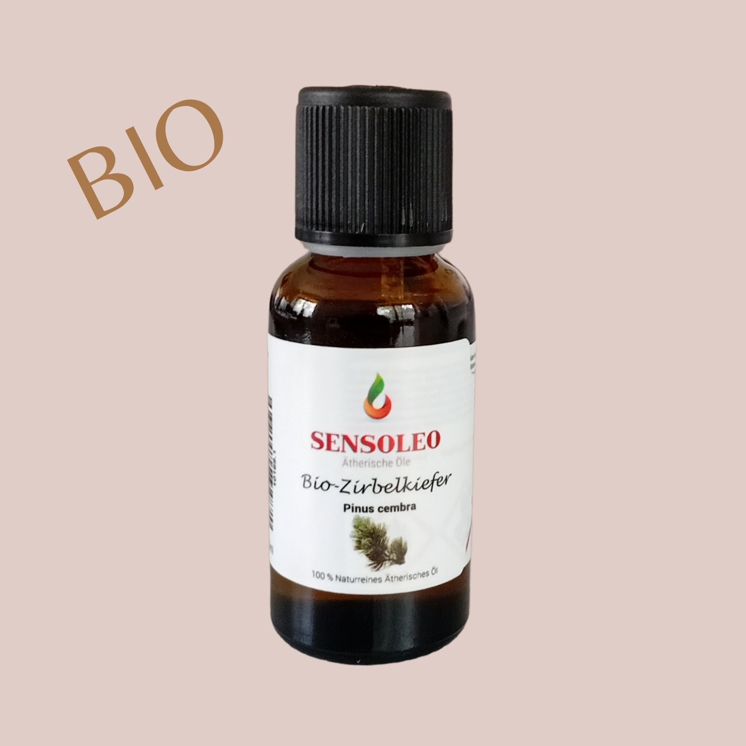 Zirbelkiefer Öl Bio 10ml_1