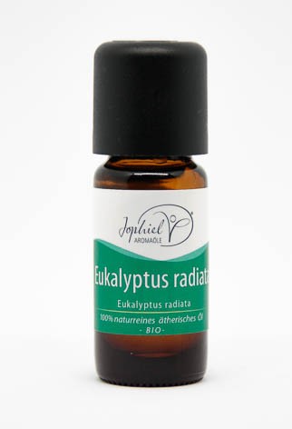 Eukalyptus radiata Öl Bio 10ml